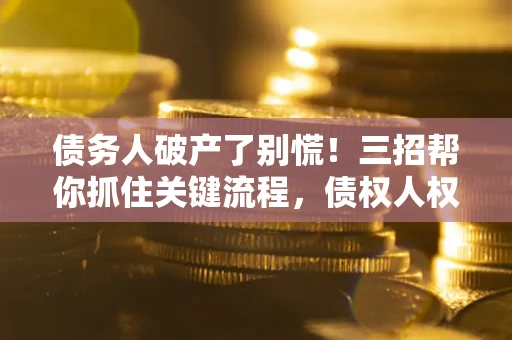 武汉债务人破产了别慌！三招帮你抓住关键流程，债权人权益不再缩水