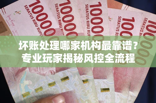 武汉坏账处理哪家机构最靠谱？专业玩家揭秘风控全流程