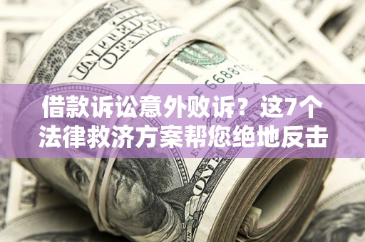 武汉借款诉讼意外败诉？这7个法律救济方案帮您绝地反击！