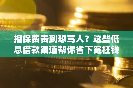 武汉担保费贵到想骂人？这些低息借款渠道帮你省下冤枉钱