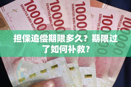 武汉担保追偿期限多久？期限过了如何补救？