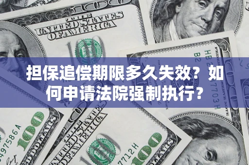 武汉担保追偿期限多久失效？如何申请法院强制执行？